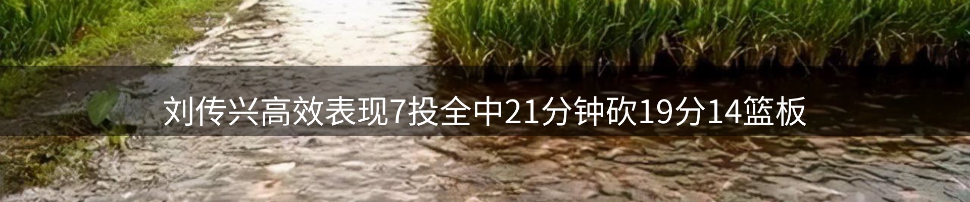 内页banner