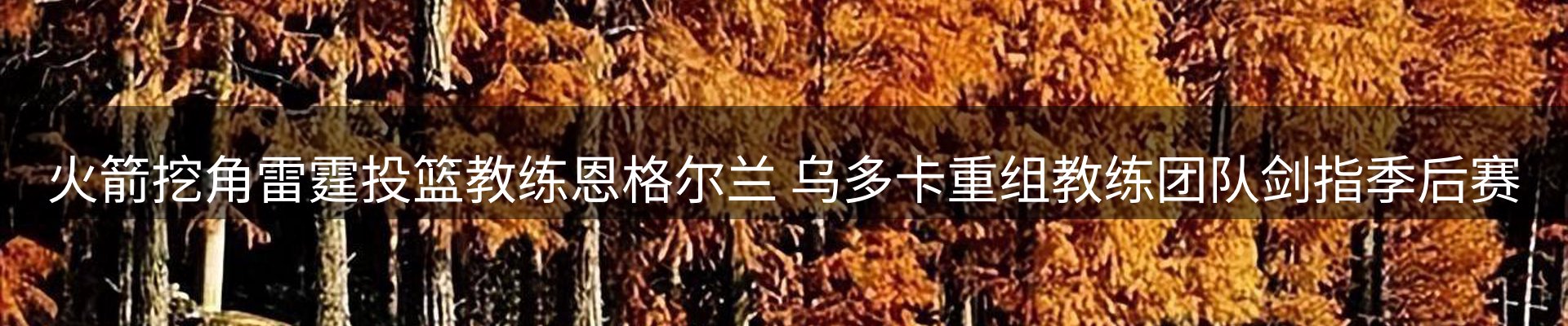 内页banner